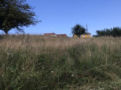 Bild 2:Heu in Kleinballen