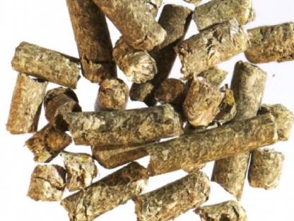 Bio Ganzpflanzenmais lose oder in Pellets