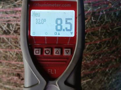 Bild 4:Heu für Pferde