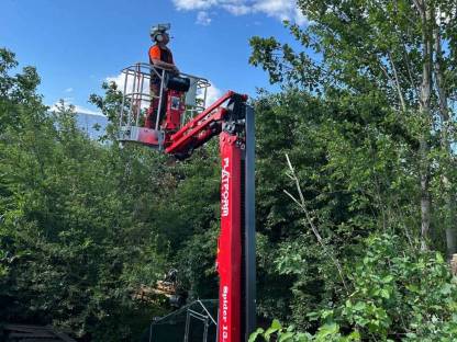 Bild 6:Baumfällung, Heckenschnitt uvm.