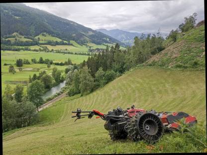 Bild 5:Mulchen von sämtlichen Flächen