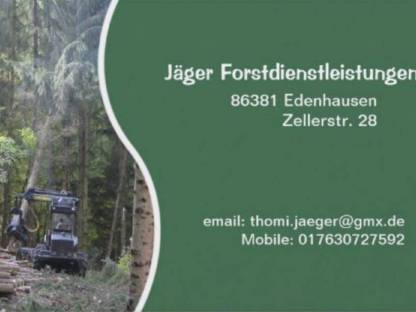 Bild 9:Forstdienstleistungen, Forstarbeiten (Baumfällung), Durchforstung