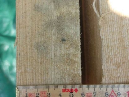 Bild 2:Lärchen Kantholz