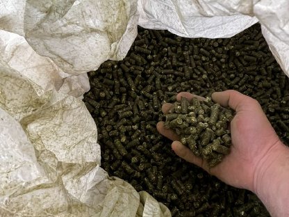 Bild 2:Luzernepellets