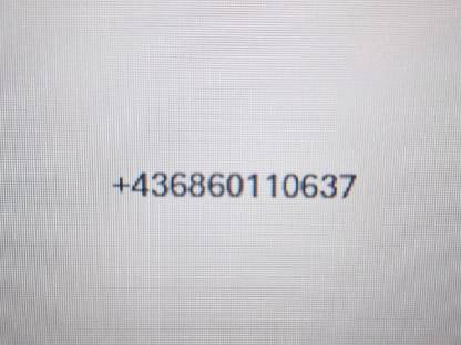 Bild 4:Presse Stroh Heu Claas Quadrant