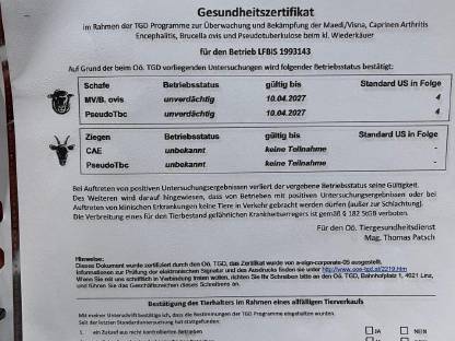 Bild 4:Bio Jura Lämmer ab Ende August laufend abzugeben