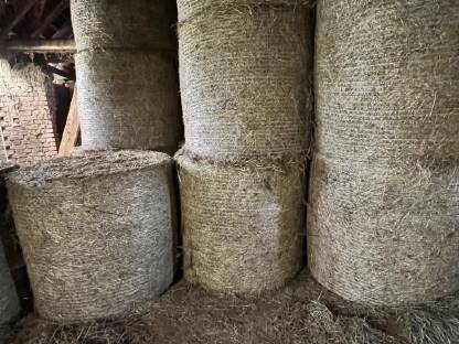 Bild 5:Heuballen