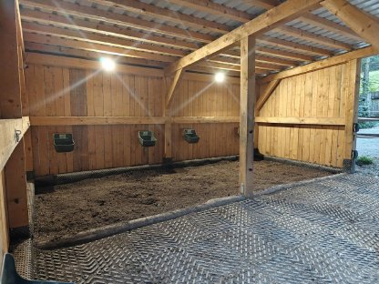 Bild 2:Offenstall Islandpferd