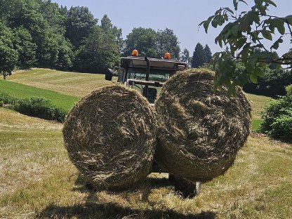 Wiesenheu 2025 1. Schnitt