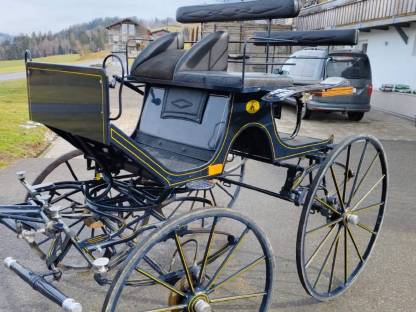 Bild 3:Dressurkutsche