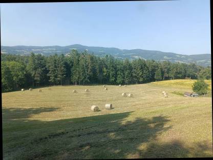 Bild 3:Heu Rundballen 2025