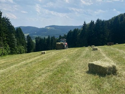Kleinballen zu verkaufen