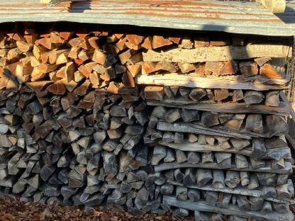 Bild 2:Buchenbrennholz trocken