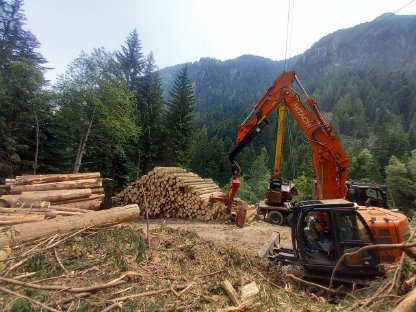 Bild 2:Kurzheckbagger Hitachi ZX225 mit Woody WH60-1