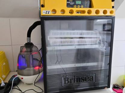 Brinsea OvaEasy II 100