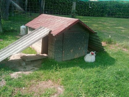 Bild 4:Enten- oder Hühnerstall zu verschenken