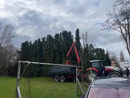 Bild 2:Suche Facharbeiter/Helfer für Forst und Garten