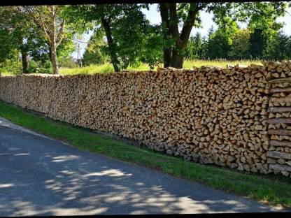 Brennholz