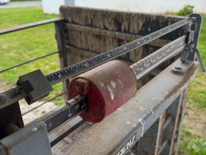 Bild 3:Viehwaage, Tierwaage, Schweinewaage