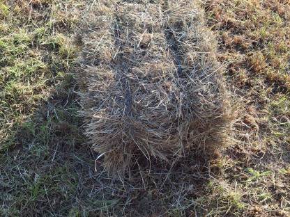 Bild 5:Kleinballen Hochdruckballen