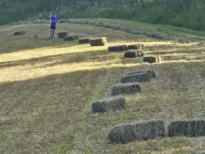 Bild 2:Heuballen klein