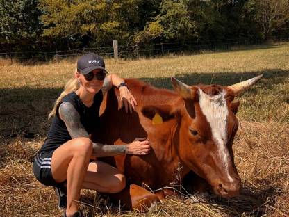 Bild 8:Einstellplatz / Offenstall