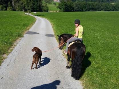 Bild 4:Einstellplätze frei