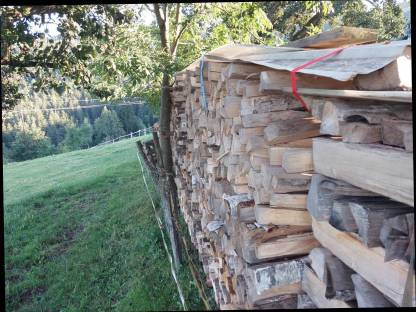 Bild 5:Trockenes Brennholz (Hartholz)