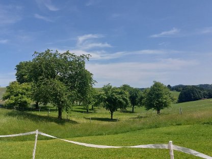 Bild 5:Einstellplatz