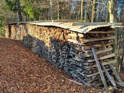 Bild 4:Buchenbrennholz trocken
