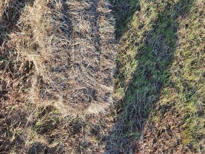 Bild 7:Kleinballen Hochdruckballen