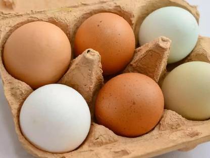 Eier von glücklichen Hühnern