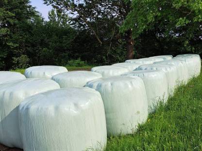 Silage Rundballen 1. Schnitt 2025
