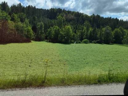Dein Nebenerwerb am eigenen Hof in Oberösterreich