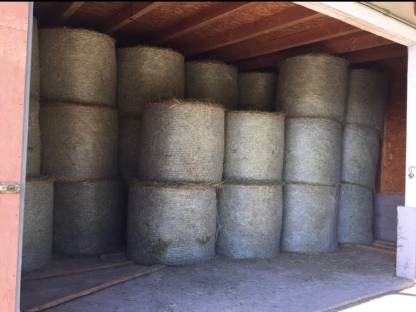 Bild 2:Heu zu verkaufen