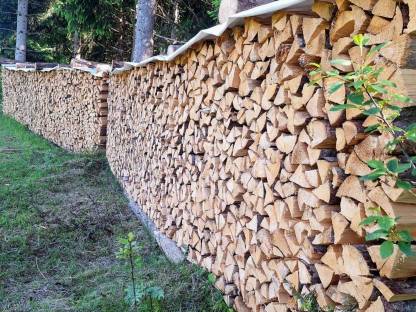 Bild 2:Brennholz