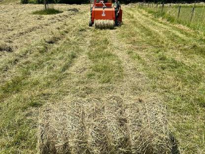Bild 2:Kleine Bio Rundballen Heu