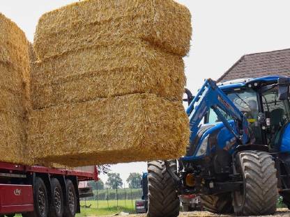 Stroh Quaderballen