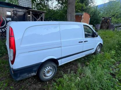 Kastenwagen Vito