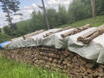 Brennholz Fichte trocken