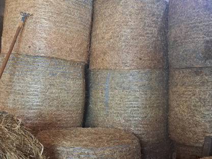 Bild 2:BIO Heuballen