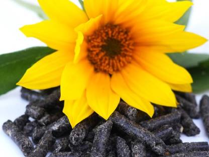 Sonnenblumenpellets
