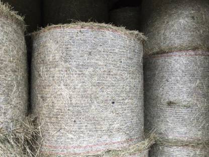 Bild 3:Heu zu verkaufen