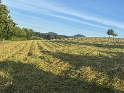 Bild 3:Heu-Rundballen