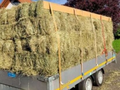 Bild 2:Kleinballen ,Heuballen, Klein Quaderballen, Pferdeheu