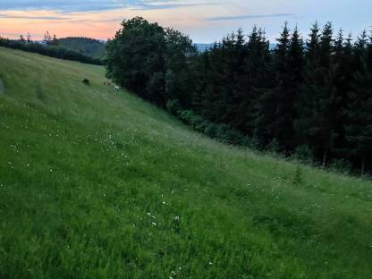 Pachtflächen