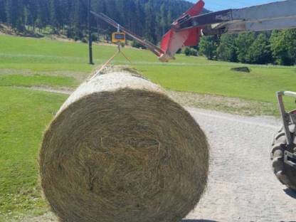 Bild 2:Heuballen