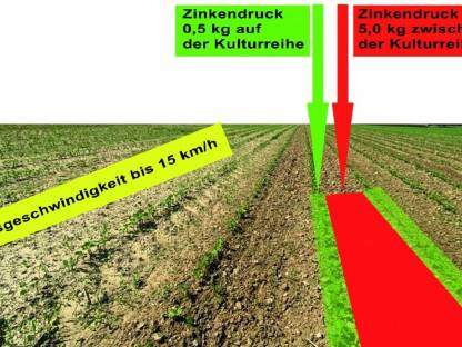 Bild 2:Biete Striegelarbeiten mit Hatzenbichler Air Flow Locator