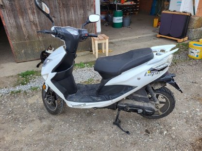 Bild 4:Roller Beeline TAPO45