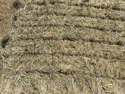 Bild 6:Kleine Heuquaderballen